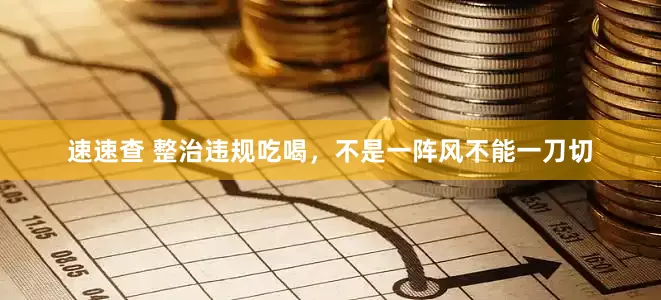 速速查 整治违规吃喝，不是一阵风不能一刀切