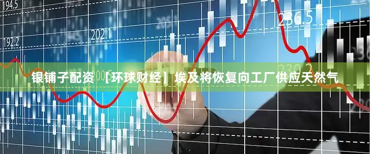 银铺子配资 【环球财经】埃及将恢复向工厂供应天然气
