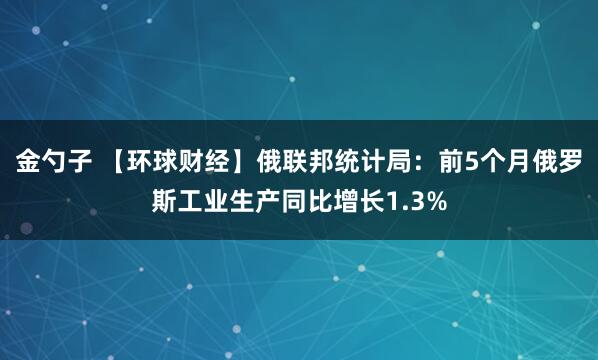 金勺子 【环球财经】俄联邦统计局：前5个月俄罗斯工业生产同比增长1.3%
