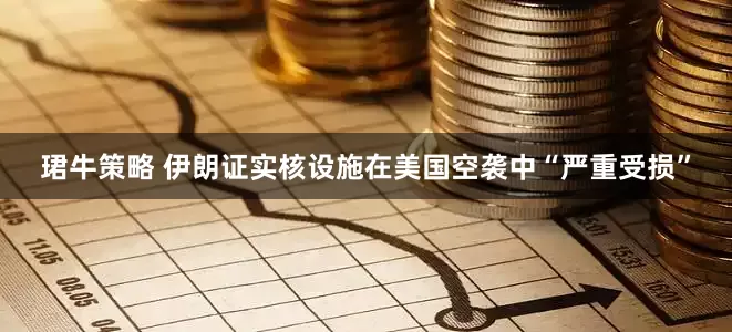 珺牛策略 伊朗证实核设施在美国空袭中“严重受损”