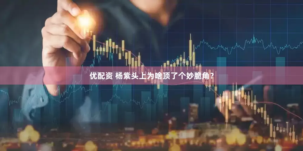 优配资 杨紫头上为啥顶了个妙脆角？